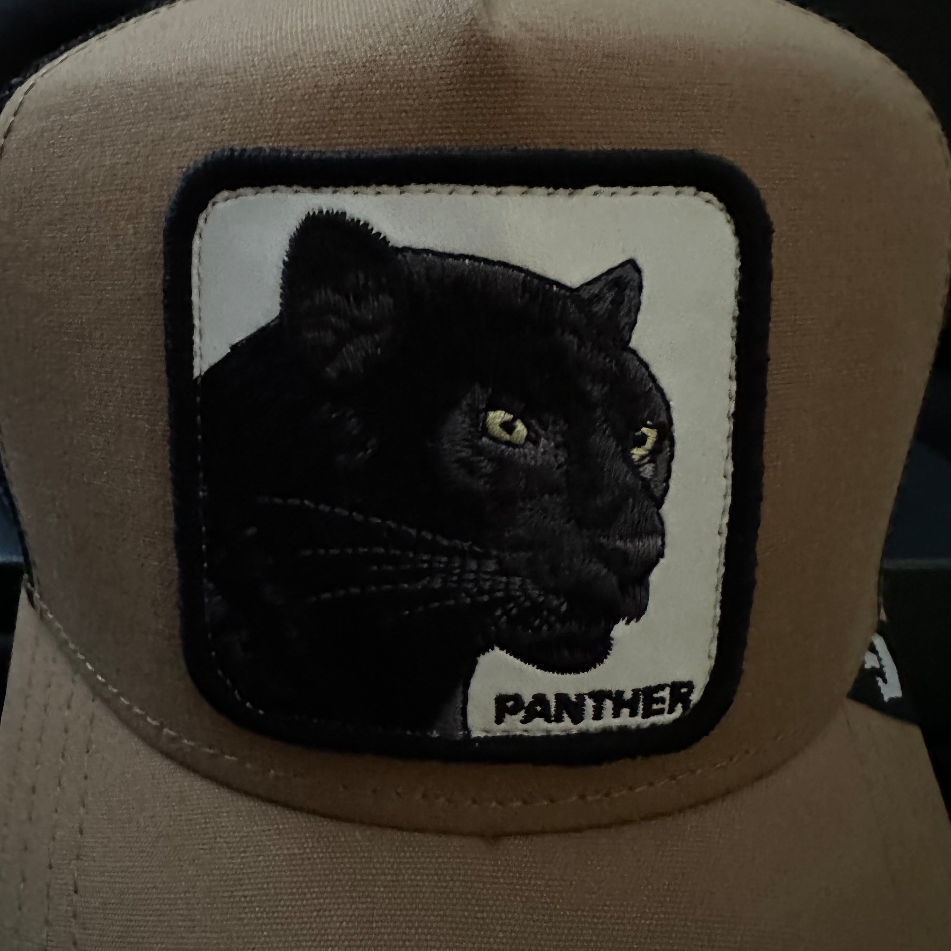 THE PANTHER Europe Edition