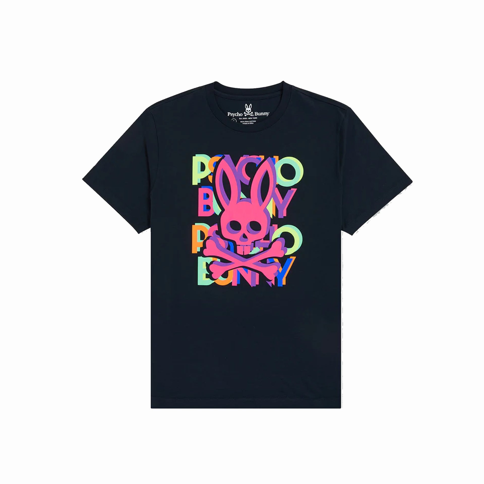 MENS HUDSON MULTICOLOR Navy Tshirt